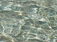 Fontana_trevi_33