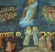 Giotto - Scrovegni - [38] - Ascension