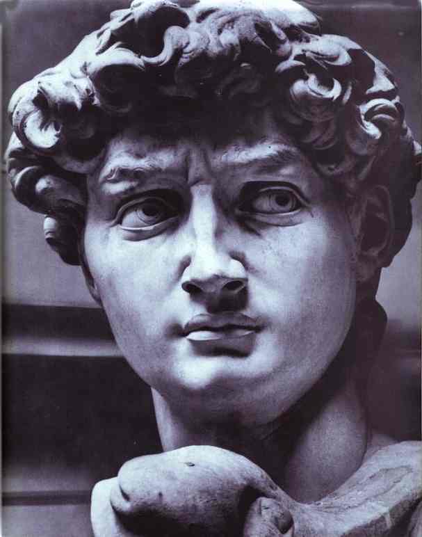 Michelangelo - David (detail)