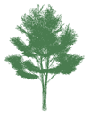 Alberi 3ds