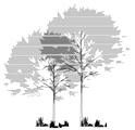 Archweb alberi 3d