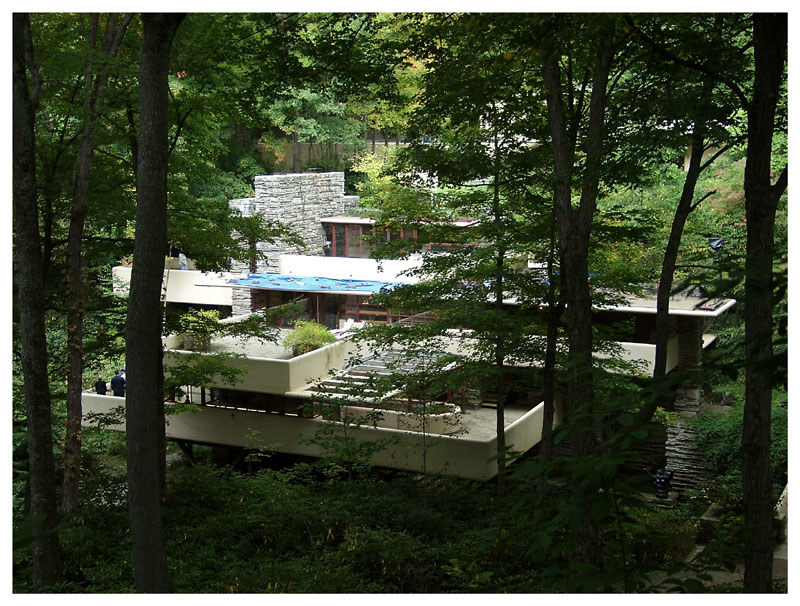 fallingwater_27